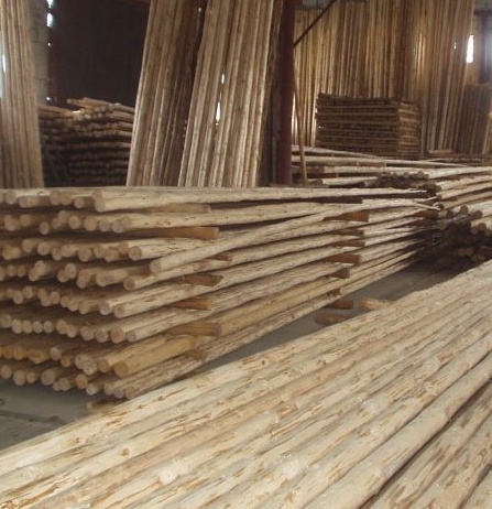 Tyče k týpí - kompletní sady i jednotlivé týpiové tyče